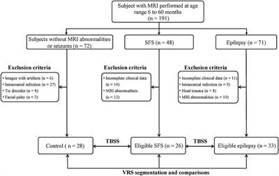 Exploring Variances of White Matter Integrity and the Glymphatic System in Simple Febrile Seizures and Epilepsy